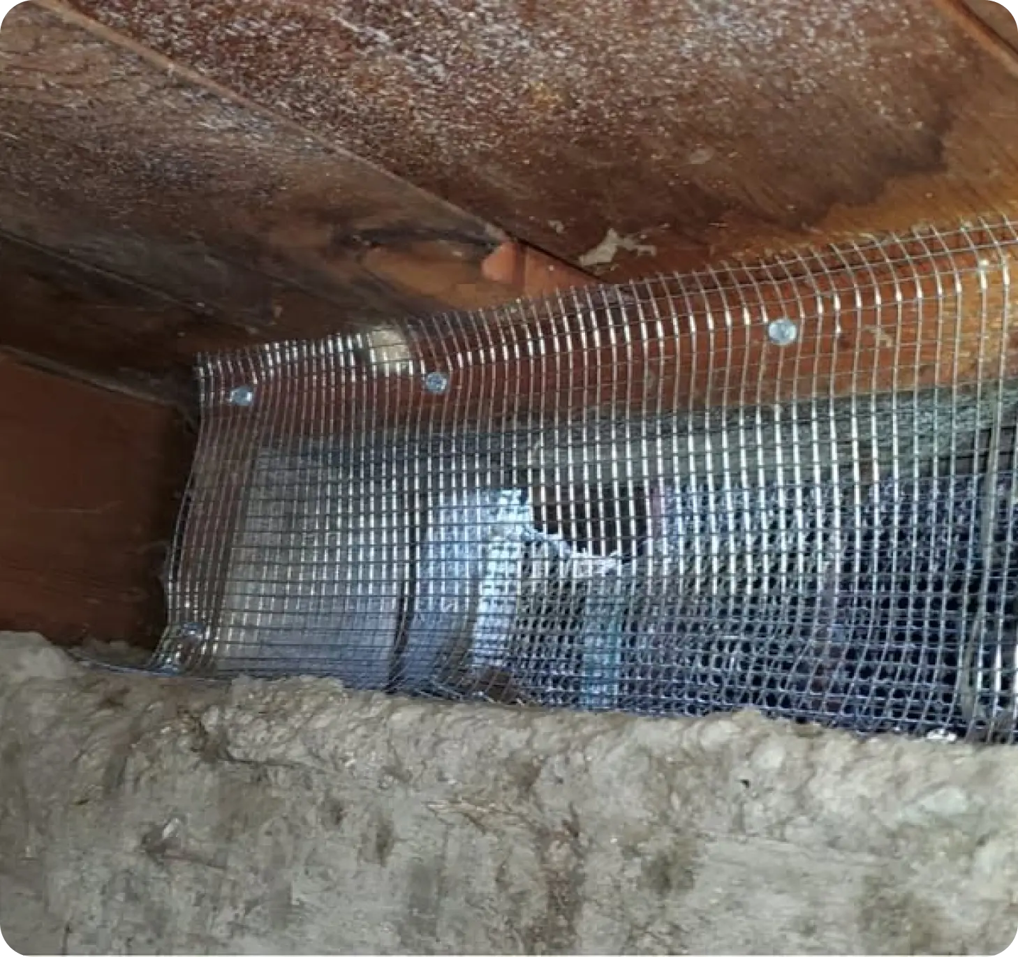 Warning Signs - Rodent Proofing